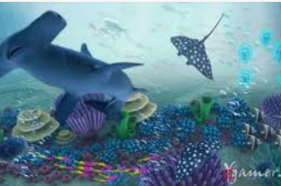 196体育经典版免费版